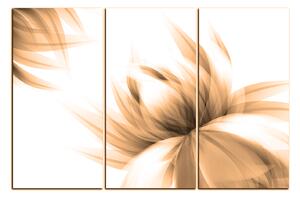 Slika na platnu - Elegantan cvijet 1147FB (120x80 cm)