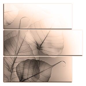 Slika na platnu - Listovi cvijeta - kvadrat 3149FD (75x75 cm)