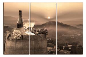 Slika na platnu - Boca vina u vinogradu 1152FB (150x100 cm)