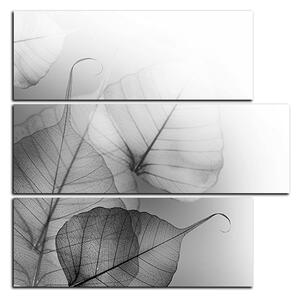 Slika na platnu - Listovi cvijeta - kvadrat 3149QD (75x75 cm)