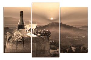 Slika na platnu - Boca vina u vinogradu 1152FC (90x60 cm)
