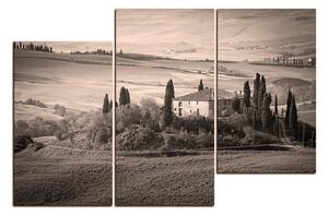 Slika na platnu - Talijanski ruralni krajolik 1156QD (150x100 cm)