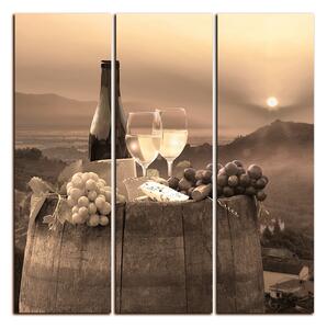 Slika na platnu - Boca vina u vinogradu - kvadrat 3152FB (75x75 cm)