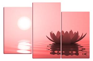 Slika na platnu - Zen lotos 1167CC (120x80 cm)