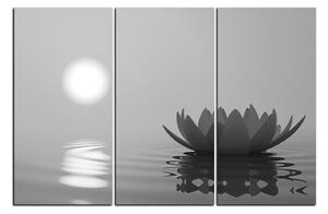 Slika na platnu - Zen lotos 1167QB (150x100 cm)