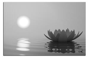 Slika na platnu - Zen lotos 1167QA (100x70 cm)