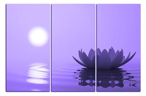 Slika na platnu - Zen lotos 1167VB (150x100 cm)