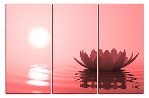 Slika na platnu - Zen lotos 1167CB (120x80 cm)