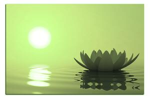 Slika na platnu - Zen lotos 1167ZA (60x40 cm)