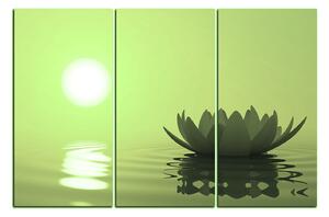 Slika na platnu - Zen lotos 1167ZB (150x100 cm)