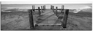 Slika na platnu - Rezervat prirode i pristanište - panorama 5142QA (105x35 cm)