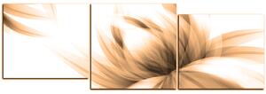 Slika na platnu - Elegantan cvijet - panorama 5147FD (150x50 cm)