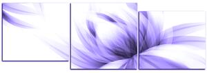 Slika na platnu - Elegantan cvijet - panorama 5147VD (150x50 cm)
