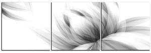 Slika na platnu - Elegantan cvijet - panorama 5147QB (90x30 cm)