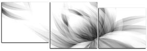 Slika na platnu - Elegantan cvijet - panorama 5147QD (90x30 cm)