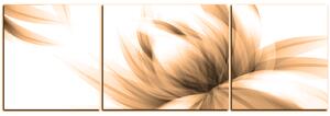 Slika na platnu - Elegantan cvijet - panorama 5147FC (150x50 cm)