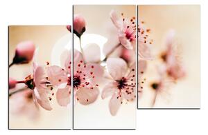 Slika na platnu - Mali cvjetovi na grani 1173D (150x100 cm)