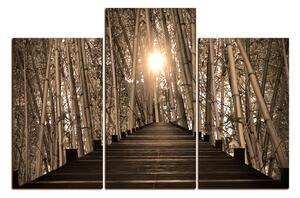 Slika na platnu - Drvena šetnica u šumi bambusa 1172FD (90x60 cm)
