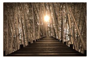 Slika na platnu - Drvena šetnica u šumi bambusa 1172FA (90x60 cm )