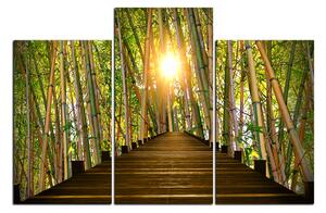 Slika na platnu - Drvena šetnica u šumi bambusa 1172D (90x60 cm)