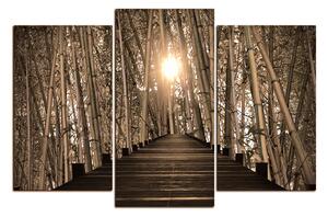 Slika na platnu - Drvena šetnica u šumi bambusa 1172FC (120x80 cm)