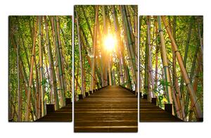 Slika na platnu - Drvena šetnica u šumi bambusa 1172C (120x80 cm)