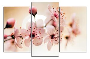 Slika na platnu - Mali cvjetovi na grani 1173C (150x100 cm)