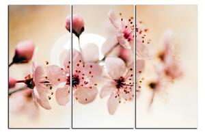 Slika na platnu - Mali cvjetovi na grani 1173B (90x60 cm )