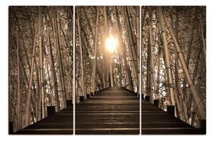 Slika na platnu - Drvena šetnica u šumi bambusa 1172FB (120x80 cm)