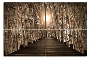 Slika na platnu - Drvena šetnica u šumi bambusa 1172FE (120x80 cm)