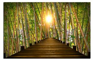 Slika na platnu - Drvena šetnica u šumi bambusa 1172A (60x40 cm)