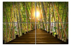 Slika na platnu - Drvena šetnica u šumi bambusa 1172E (90x60 cm)