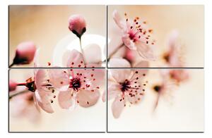 Slika na platnu - Mali cvjetovi na grani 1173E (90x60 cm)