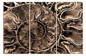 Slika na platnu - Tekstura fosila 1174FB (90x60 cm )
