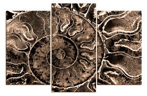 Slika na platnu - Tekstura fosila 1174FC (90x60 cm)