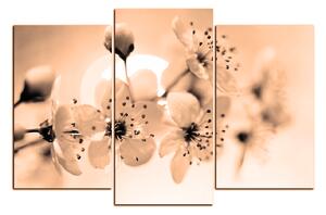 Slika na platnu - Mali cvjetovi na grani 1173FC (150x100 cm)