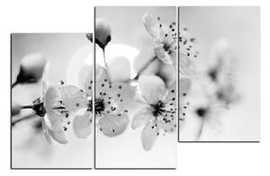 Slika na platnu - Mali cvjetovi na grani 1173QD (150x100 cm)