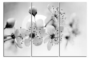 Slika na platnu - Mali cvjetovi na grani 1173QB (150x100 cm)