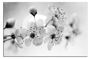 Slika na platnu - Mali cvjetovi na grani 1173QA (100x70 cm)