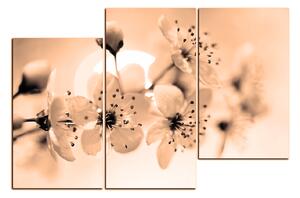 Slika na platnu - Mali cvjetovi na grani 1173FD (90x60 cm)