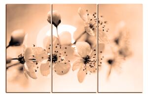 Slika na platnu - Mali cvjetovi na grani 1173FB (90x60 cm )