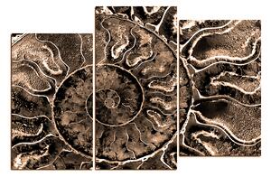 Slika na platnu - Tekstura fosila 1174FD (90x60 cm)