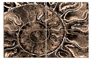 Slika na platnu - Tekstura fosila 1174FE (150x100 cm)