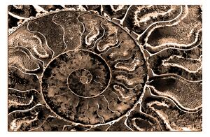 Slika na platnu - Tekstura fosila 1174FA (120x80 cm)