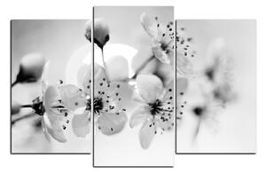 Slika na platnu - Mali cvjetovi na grani 1173QC (90x60 cm)