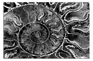 Slika na platnu - Tekstura fosila 1174QA (120x80 cm)