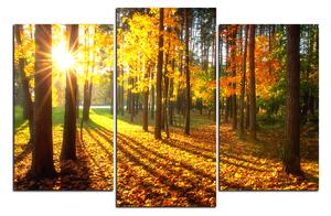 Slika na platnu - Jesenja šuma 1176C (90x60 cm)