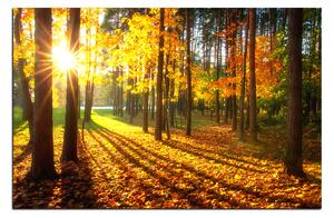 Slika na platnu - Jesenja šuma 1176A (90x60 cm )