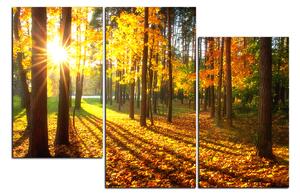 Slika na platnu - Jesenja šuma 1176D (150x100 cm)