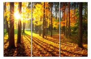 Slika na platnu - Jesenja šuma 1176B (90x60 cm )
